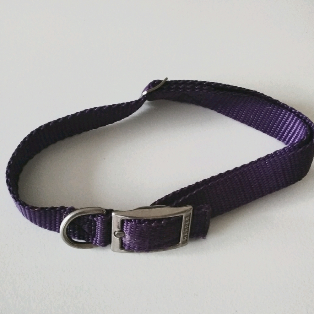 LARGE DOG COLLAR